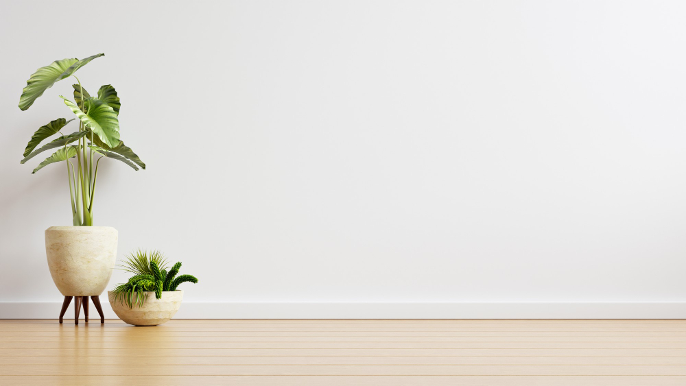 Post Paint Professional Cleaning image